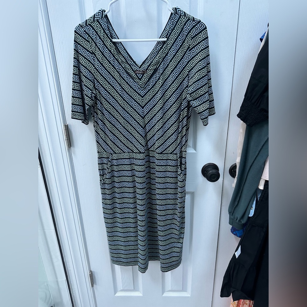 Gorgeous J McLaughlin fall dress: medium